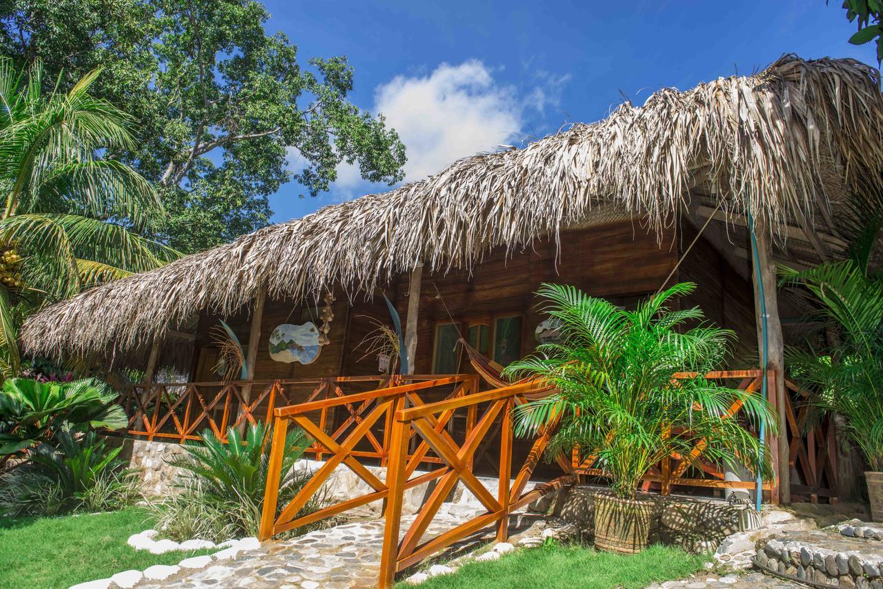Posadas Ecoturisticas Seineken El Zaino Exterior photo